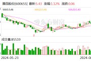 豫园股份（600655.SH）控股股东复星高科技及其一致行动人累计质押24.1亿股 占所持股份近80%