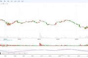 加仓屡屡“踩雷”，换帅刚挨“训诫”，银河德睿投资专业性去哪了？