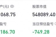 胡锡进：今天给两只股票加仓，总亏损7.9万元