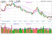 大盘龙头风格持续占优，A50ETF华宝（159596）逆市飘红